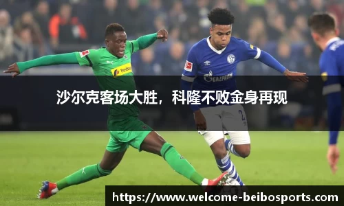 贝博bb体育