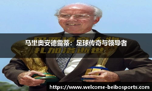 贝博体育网站