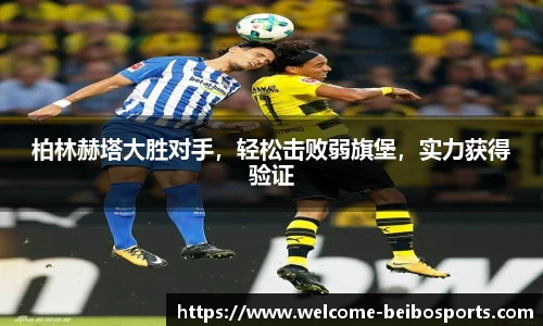 BB体育官方网站