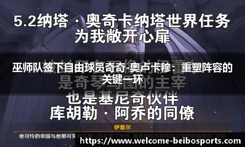 巫师队签下自由球员奇奇-奥卢卡穆：重塑阵容的关键一环
