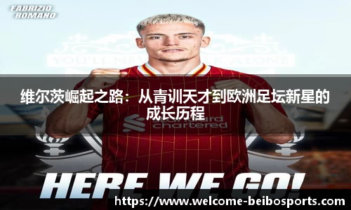 BB体育官方网站