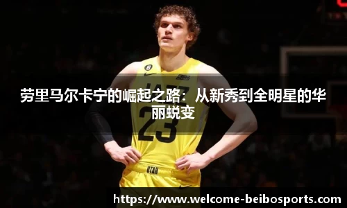 贝博体育网站